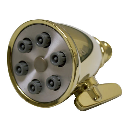 Small Round Showerhead with 6 Spray Jets - Solid Brass Construction with Adjustable Ball Joint by Whitehaus