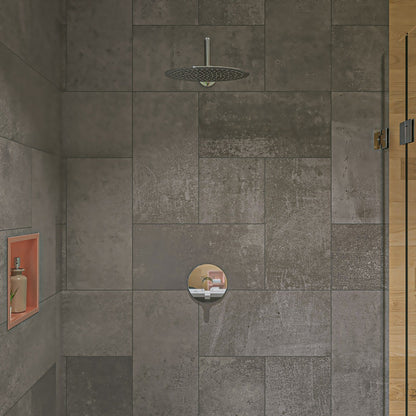 Oval Ultra Thin Rain Shower Head Stainless Steel by Alfi