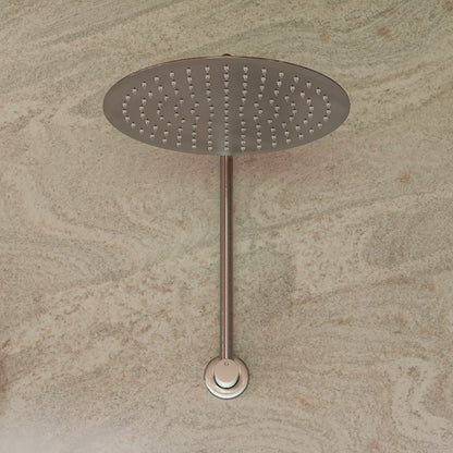 Flat Rain Shower Head In Stainless Steel - 12 Inch by Alfi